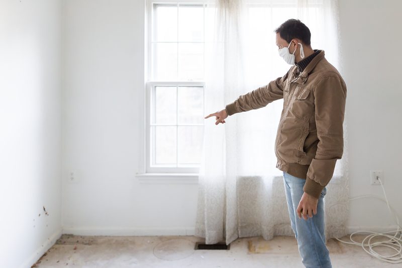 Dark mold growth on a wall before removal