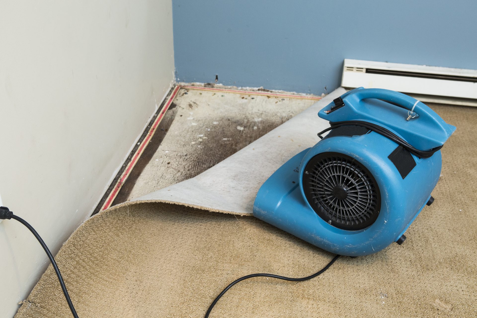 Air mover drying a water damaged room