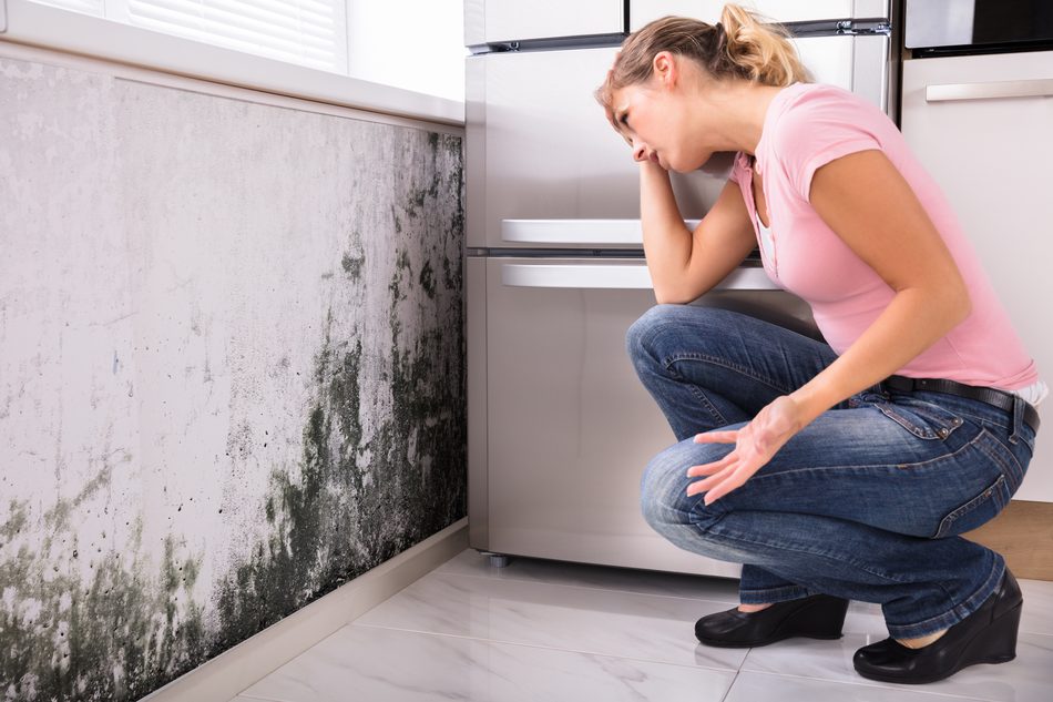Containment during basement mold remediation